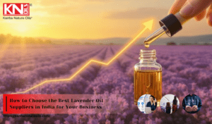 How to Choose the Best Lavender Oil Suppliers in India for Your Business