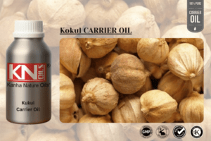 Kukui Carrier Oil