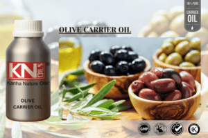 OLIVE CARRIER OIL