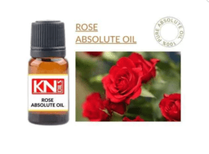 ROSE ABSOLUTE OIL
