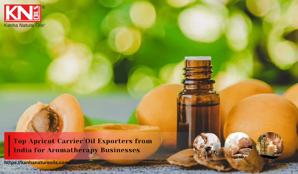 Top Apricot Carrier Oil Exporters from India for Aromatherapy Businesses
