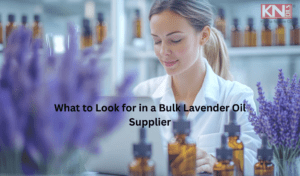 What to Look for in a Bulk Lavender Oil Supplier