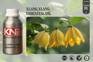 Ylang Ylang Essential Oil