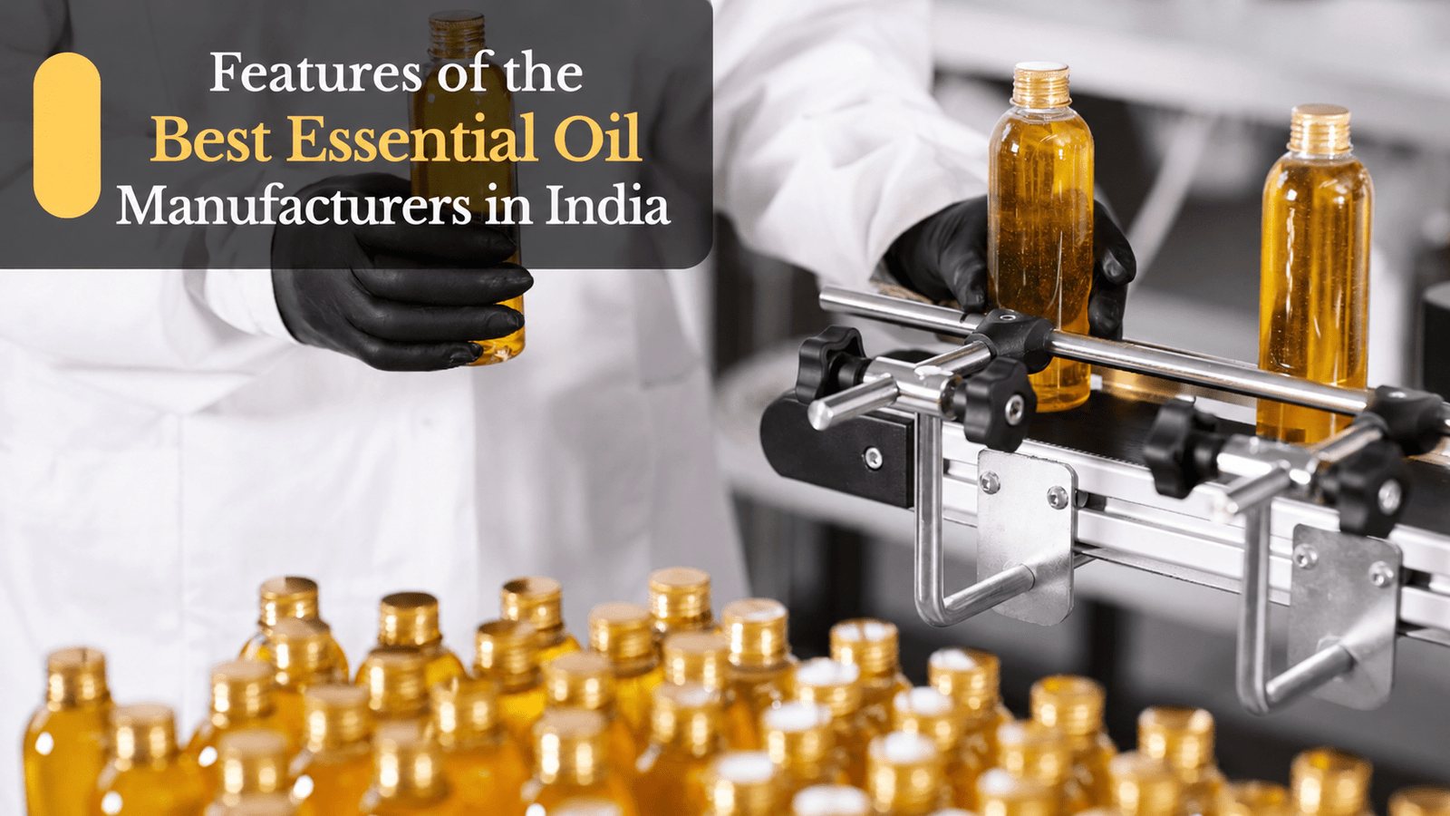 Features of the Best Essential Oil Manufacturers in India Features of the Best Essential Oil Manufacturers in India