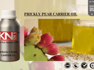 PRICKLY PEAR CARRIER OIL