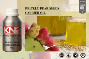 PRICKLY PEAR CARRIER OIL