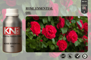ROSE ESSENTIAL OIL