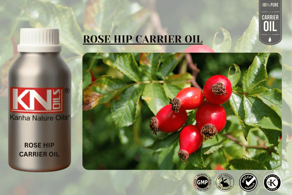 Rosehip Oil Rosehip Oil