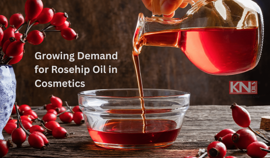 Growing Demand for Rosehip Oil in Cosmetics Growing Demand for Rosehip Oil in Cosmetics