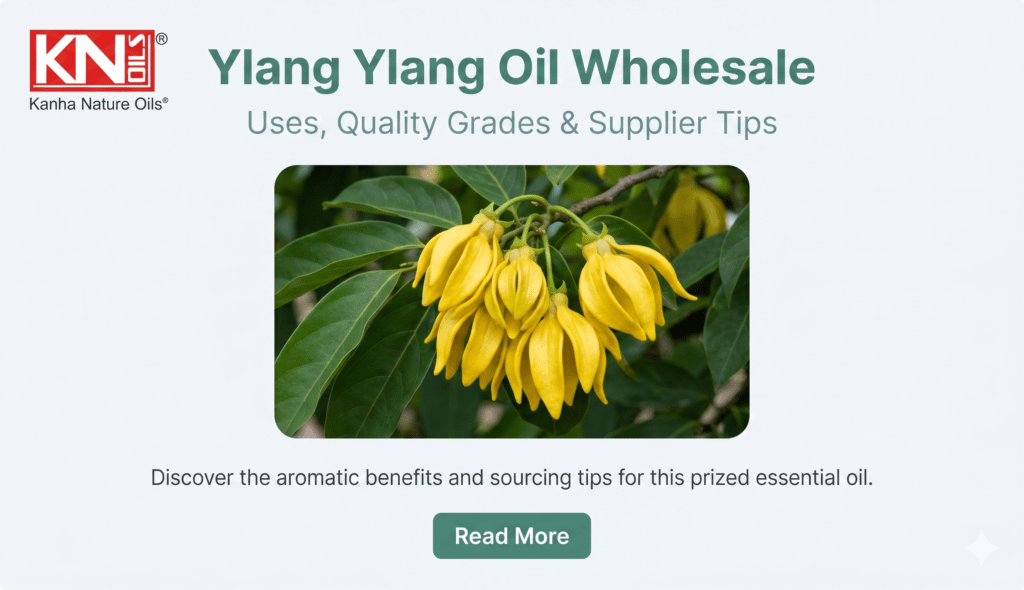 Ylang Ylang Oil Wholesale Uses, Quality Grades & Supplier Tips