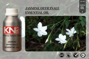JASMINE OFFICINALE ESSENTIAL OIL
