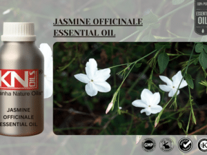 JASMINE OFFICINALE ESSENTIAL OIL