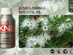 KUNZEA AMBIGUA ESSENTIAL OIL