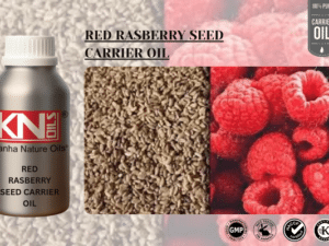 red raspberry seed oil