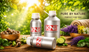 KNO web- home page benner